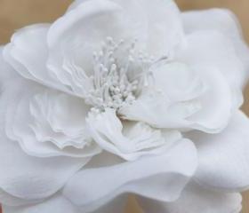 white wedding hair accessories, white bridal fascinator, wedding headpiece, white silk flower
